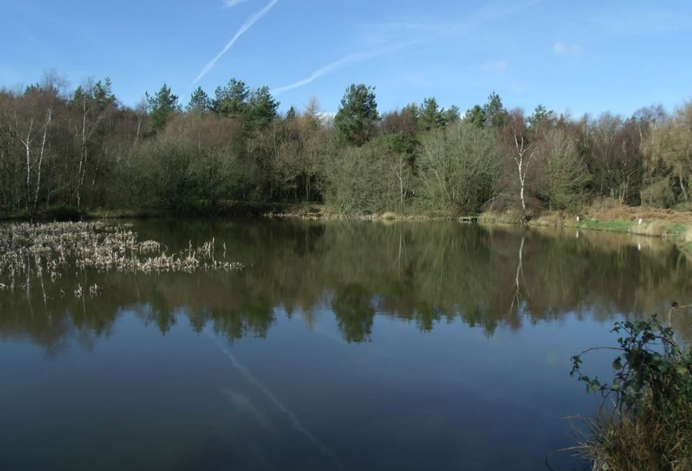 Το δάσος που ενέπνευσε τον Τόλκιν στον «Άρχοντα των Δαχτυλιδιών» και το κρυμμένο μυστικό του-1