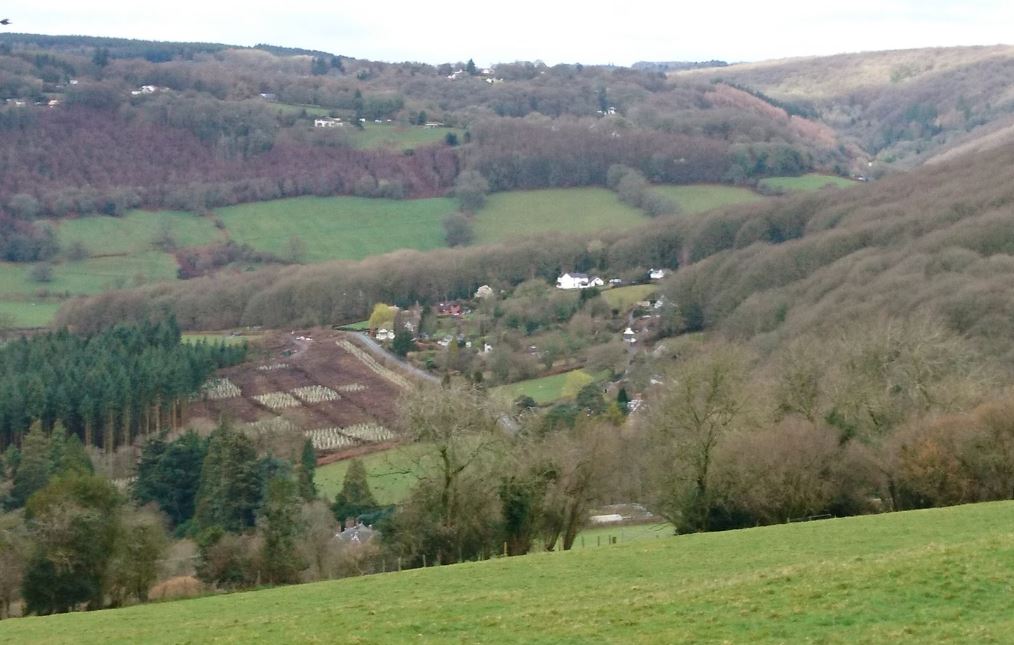 Το δάσος που ενέπνευσε τον Τόλκιν στον «Άρχοντα των Δαχτυλιδιών» και το κρυμμένο μυστικό του-2