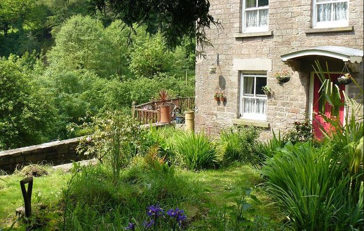 Το δάσος που ενέπνευσε τον Τόλκιν στον «Άρχοντα των Δαχτυλιδιών» και το κρυμμένο μυστικό του-6