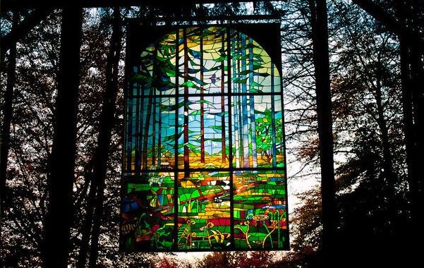 Το δάσος που ενέπνευσε τον Τόλκιν στον «Άρχοντα των Δαχτυλιδιών» και το κρυμμένο μυστικό του-4