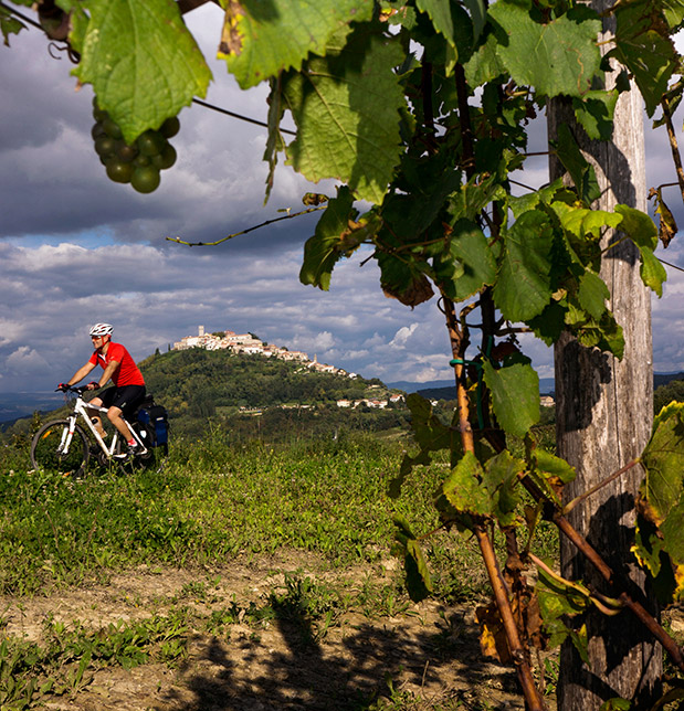 Ίστρια: Στην «Τοσκάνη της Κροατίας»-3