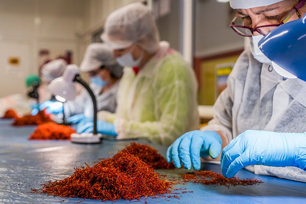 Kοζάνη: Άλλη ατμόσφαιρα-6