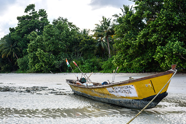 Μάθημα ζωής-2