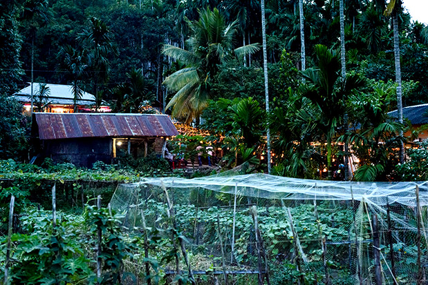 Μάθημα ζωής-1