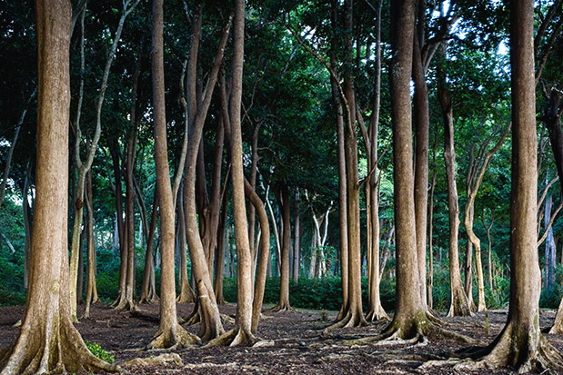 Μάθημα ζωής-4