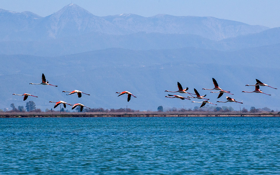 Αμβρακικός κόλπος: Μια θάλασσα από λίμνες-2