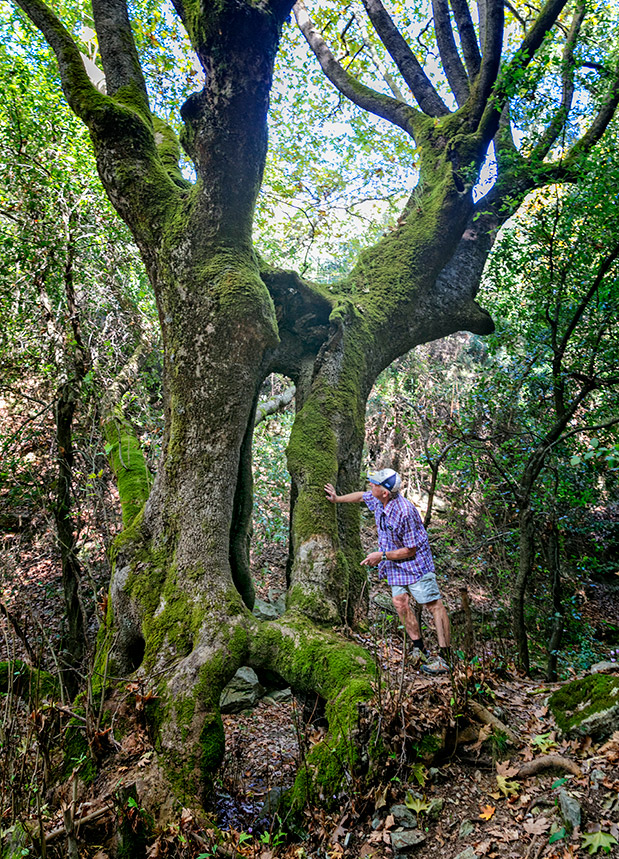 Αφιέρωμα Πάσχα: Σποράδες-2