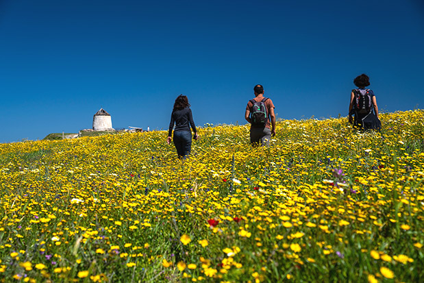 Πάρος η θεραπευτική-2