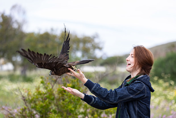 Πάρος η θεραπευτική-4