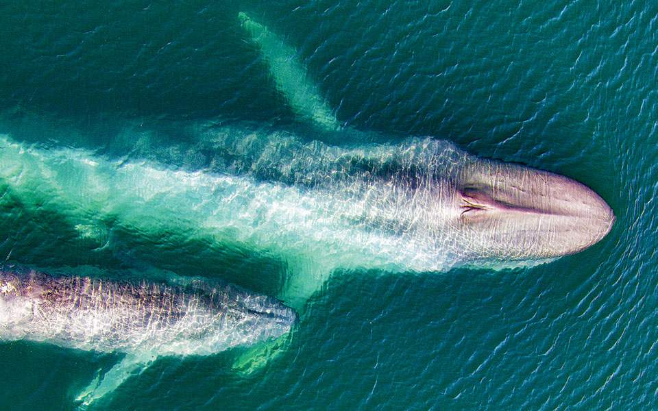 Ο πλανήτης Γη στον κόσμο του Netflix-1