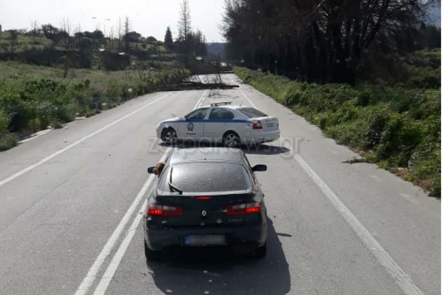 Προβλήματα από τους ισχυρούς ανέμους στην Κρήτη (φωτογραφίες)-1