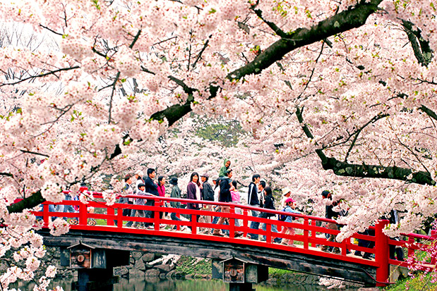 Οι καμβάδες της άνοιξης-4