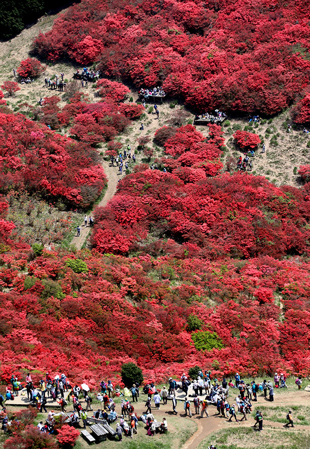 Οι καμβάδες της άνοιξης-1