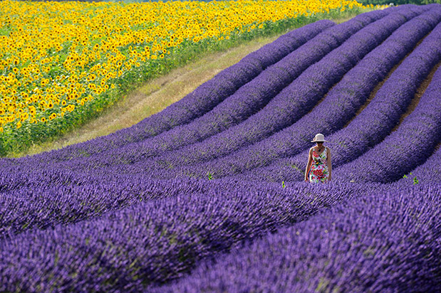 Οι καμβάδες της άνοιξης-2