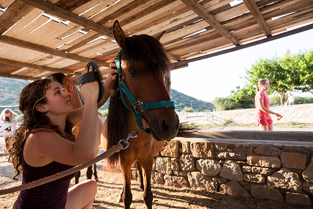 Μανώλης Τραχανάς: Ιδιοκτήτης του κτήματος «Μουριές»-1