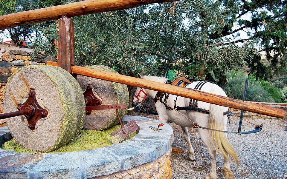 Η ζωή στο Κτήμα-1