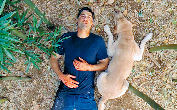 Από τον θρίαμβο στον όλεθρο, ένα φινάλε δρόμος-1