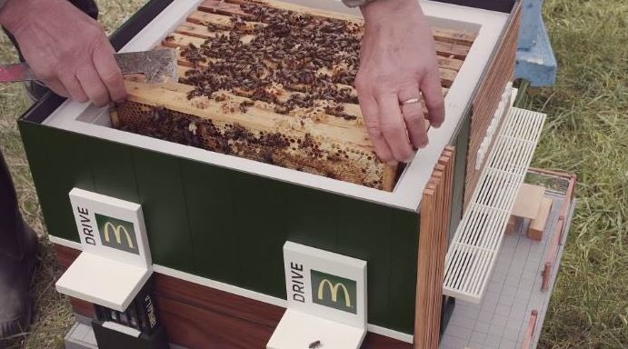 McHive: το μικρότερο McDonald’s στον κόσμο είναι για… μέλισσες (φωτογραφίες)-1