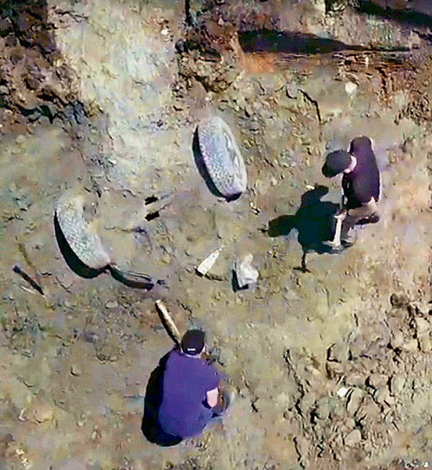 Εγκλημα στη λεκάνη του Αξιού-1