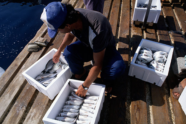 Τα μικρά «διαμάντια» των Δωδεκανήσων-3