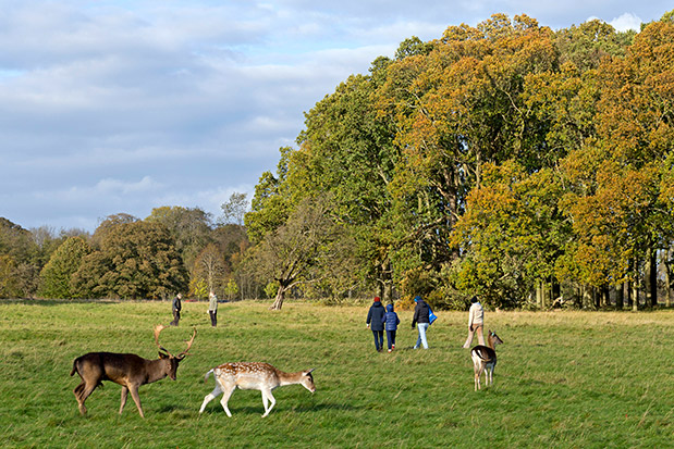 Δουβλίνο by locals-4