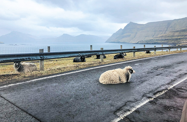 Νησιά Φερόε: Ταξίδι εκτός ραντάρ-3
