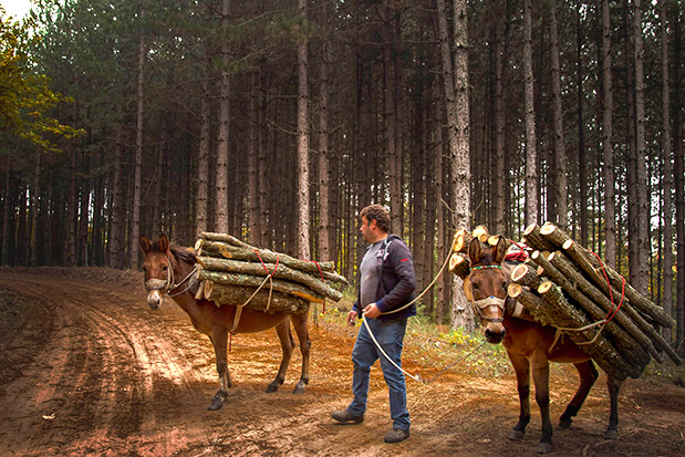 Το αλφαβητάρι της Χαλκιδικής-6