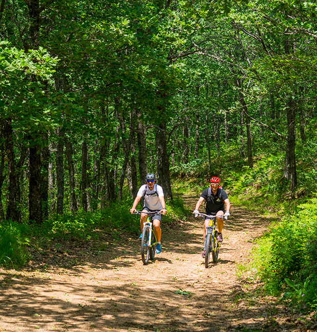 Το αλφαβητάρι της Χαλκιδικής-3