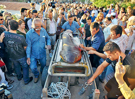 Το «δώρο» του Δάκη Ιωάννου στην Υδρα μετράει 11 χρόνια διεθνούς παρουσίας-1