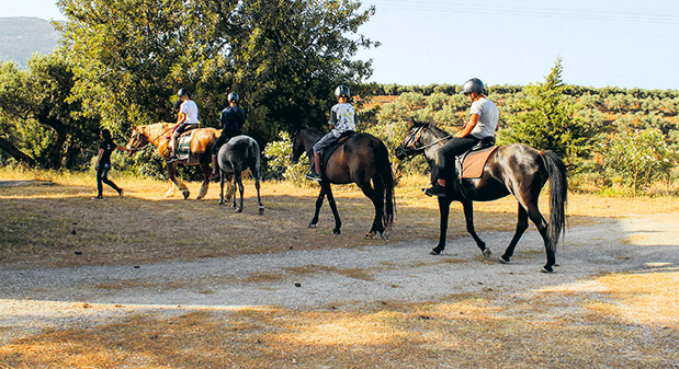 Οικογενειακά Resort-6