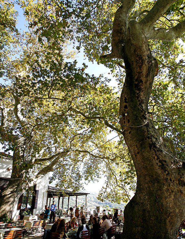 Αφιέρωμα Αυτοκίνητο: Πήλιο-2