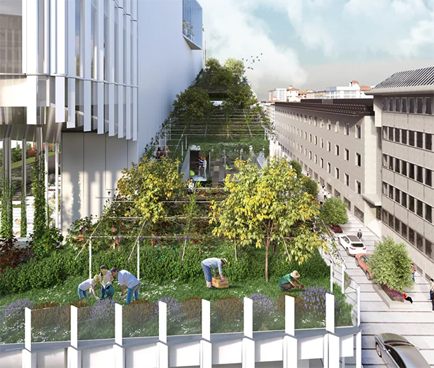 Ενας «αστικός αμπελώνας» στην καρδιά του Μιλάνου-1