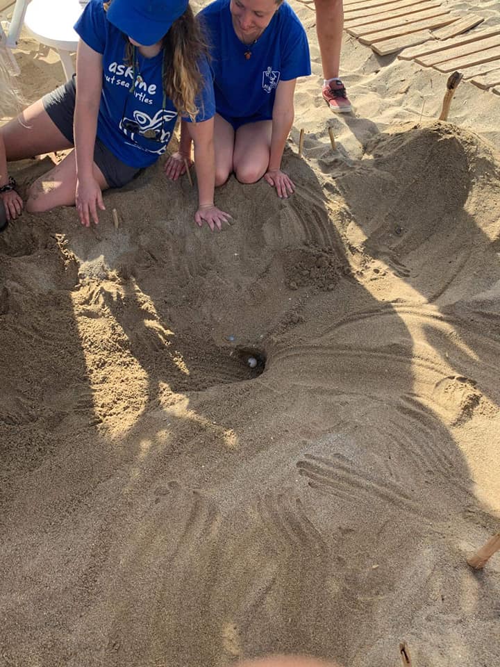 Οι πρώτες φωλιές χελωνών καρέττα στην Κρήτη – Ξεκίνησε η περίοδος ωοτοκίας-2