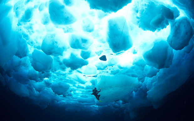 ROLEX Perpetual Planet – Eκστρατεία σωτηρίας του πλανήτη-10