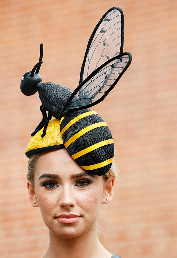 Επιστροφή στο Άσκοτ-1