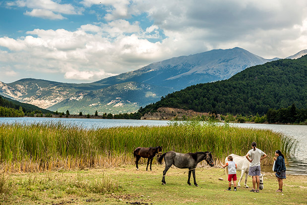 Στο βουνό με μαγιό…-4