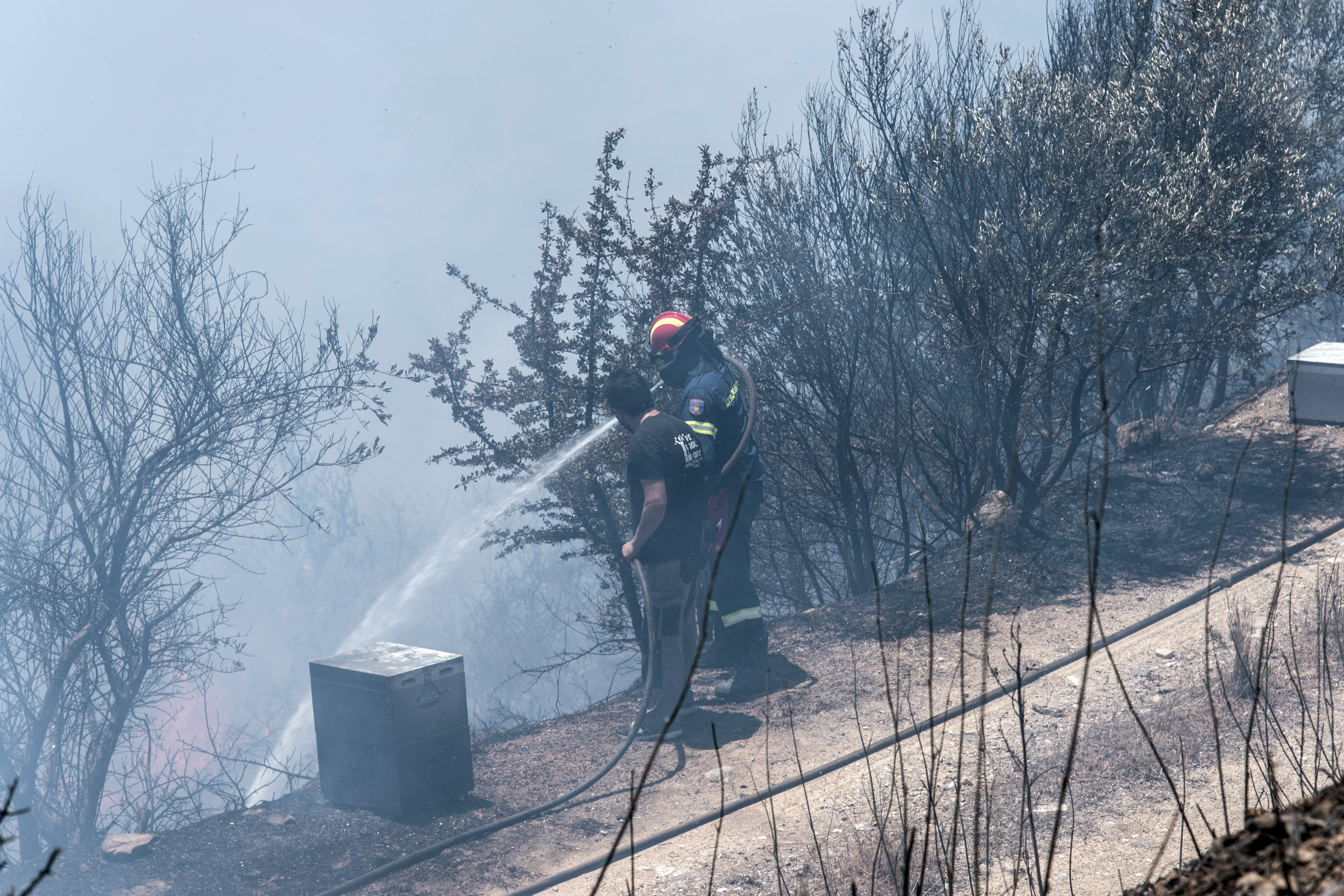 Μάχη με τις φλόγες για δεύτερη νύχτα στην Εύβοια – Φόβοι για αναζωπυρώσεις-1