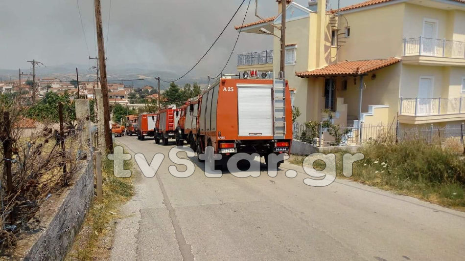 Νέο πύρινο μέτωπο στην Κύμη Ευβοίας στην περιοχή Τραχήλι – Συνελήφθη 64χρονος για εμπρησμό – Εκκενώθηκαν οικισμοί-5