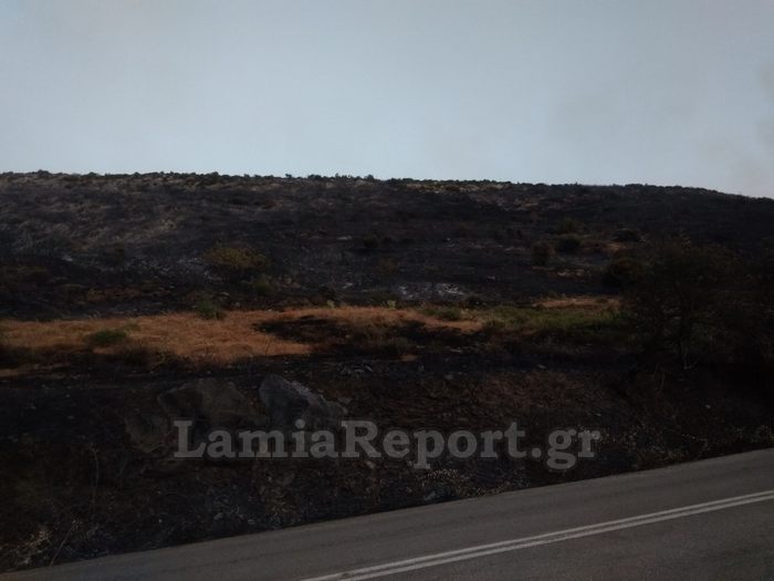 Νέο πύρινο μέτωπο στην Κύμη Ευβοίας στην περιοχή Τραχήλι – Συνελήφθη 64χρονος για εμπρησμό – Εκκενώθηκαν οικισμοί-1