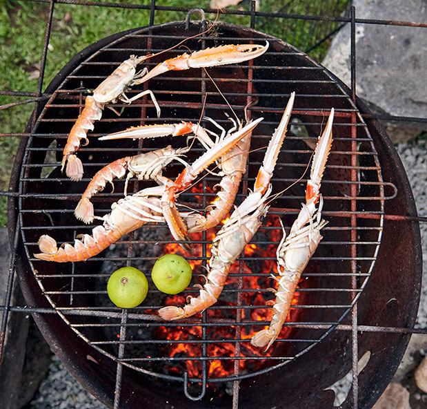 Σουηδική ουτοπία-5