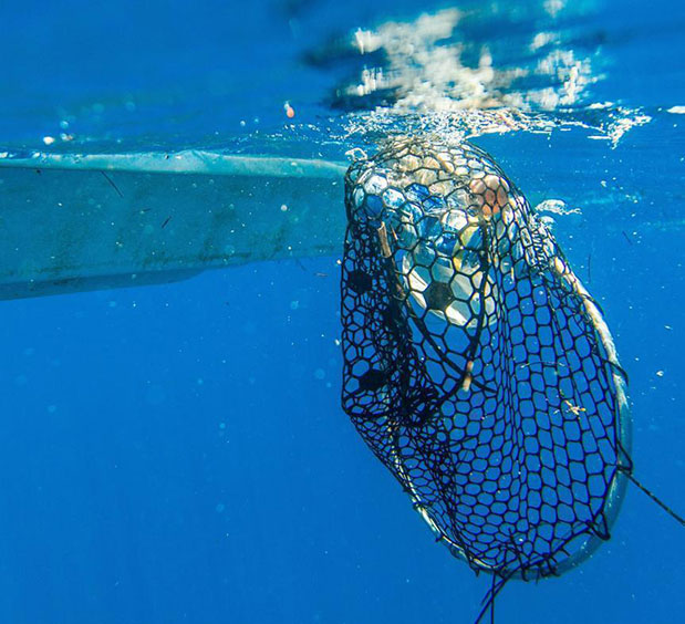 H CHOPARD συμβάλλει στην προστασία των ωκεανών-3