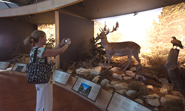 Αφιέρωμα Κρήτη: Σταθμοί πολιτισμού-2