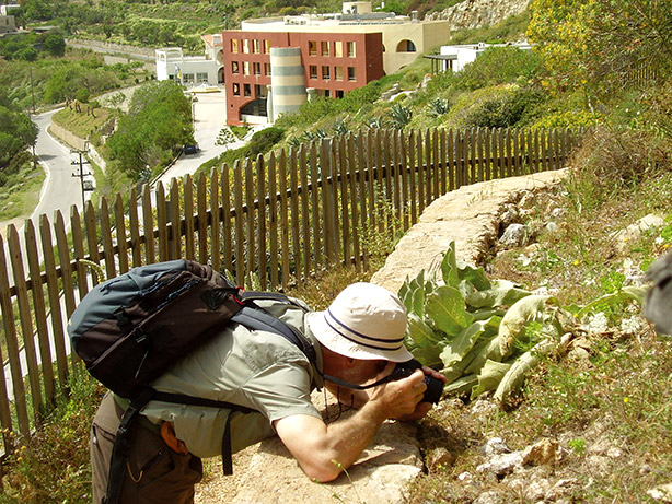 Αφιέρωμα Κρήτη: Σταθμοί πολιτισμού-5
