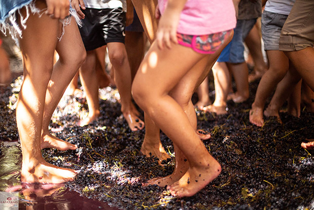 Κορινθία: Οίνος ευφραίνει…-1