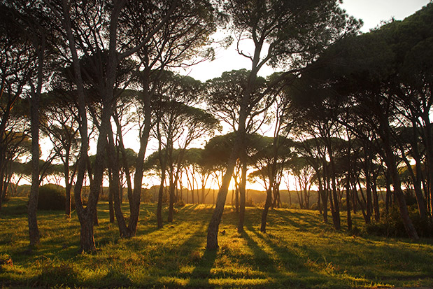 Αχαϊα: Μόνο φύση-2