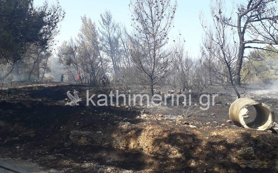 Υπό μερικό έλεγχο η φωτιά σε Βαρνάβα και Ραφήνα (φωτογραφίες)-2