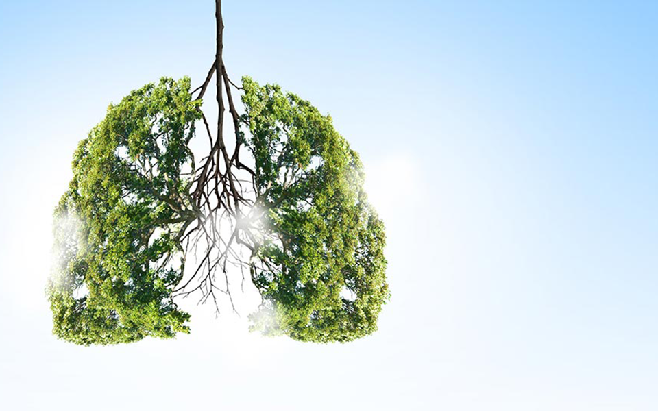 Νέος τριπλός συνδυασμός για ασθενείς με ΧΑΠ διαθέσιμος πλέον και στην Ελλάδα-1