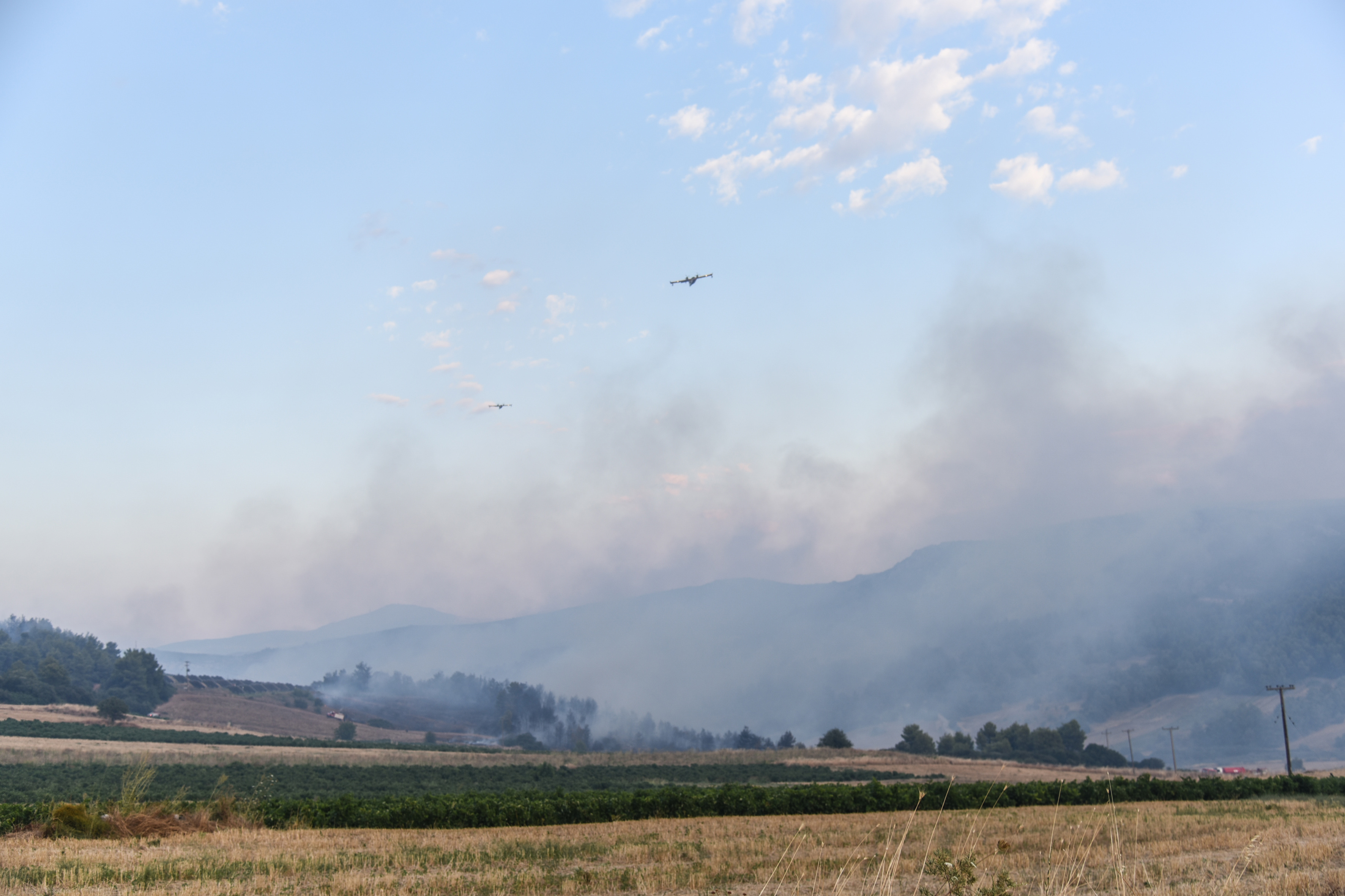 Βελτιωμένη η εικόνα της πυρκαγιάς στην Τανάγρα – Επιχειρούν επίγειες και εναέριες δυνάμεις-3