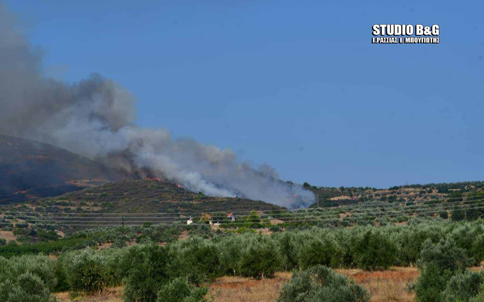 Υπό μερικό έλεγχο η μεγάλη πυρκαγιά στην Αργολίδα (φωτογραφίες)-1