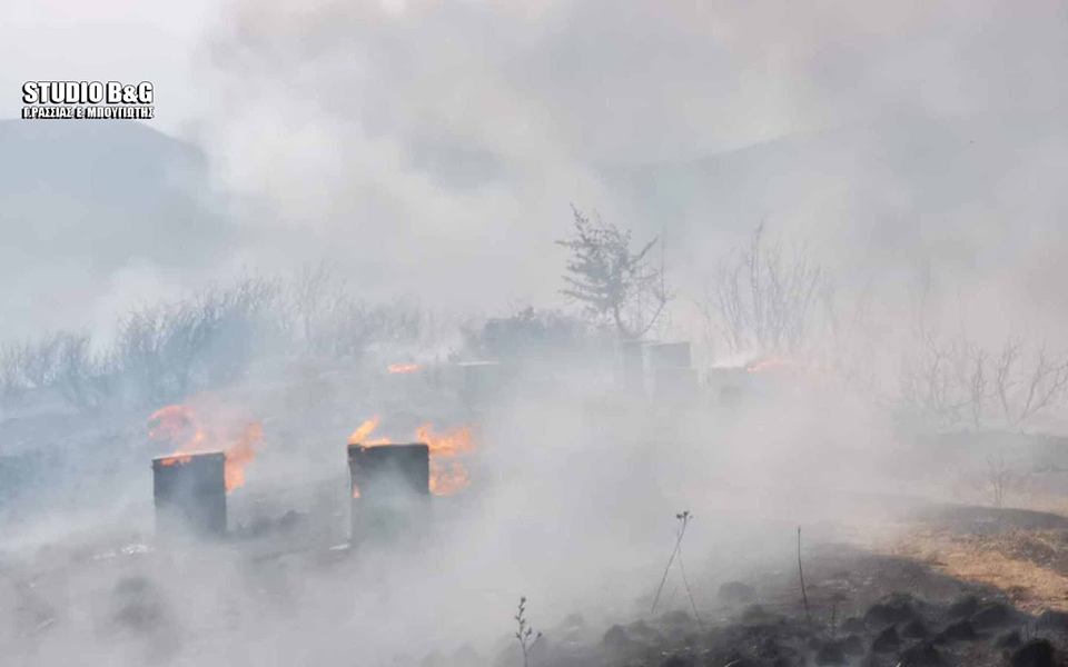 Υπό μερικό έλεγχο η μεγάλη πυρκαγιά στην Αργολίδα (φωτογραφίες)-3